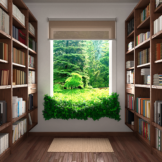 Library & Business Lounge