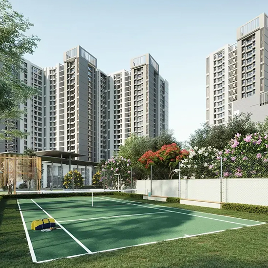 Sports Courts